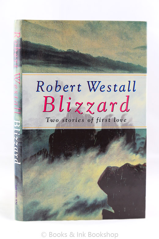 Image for Blizzard